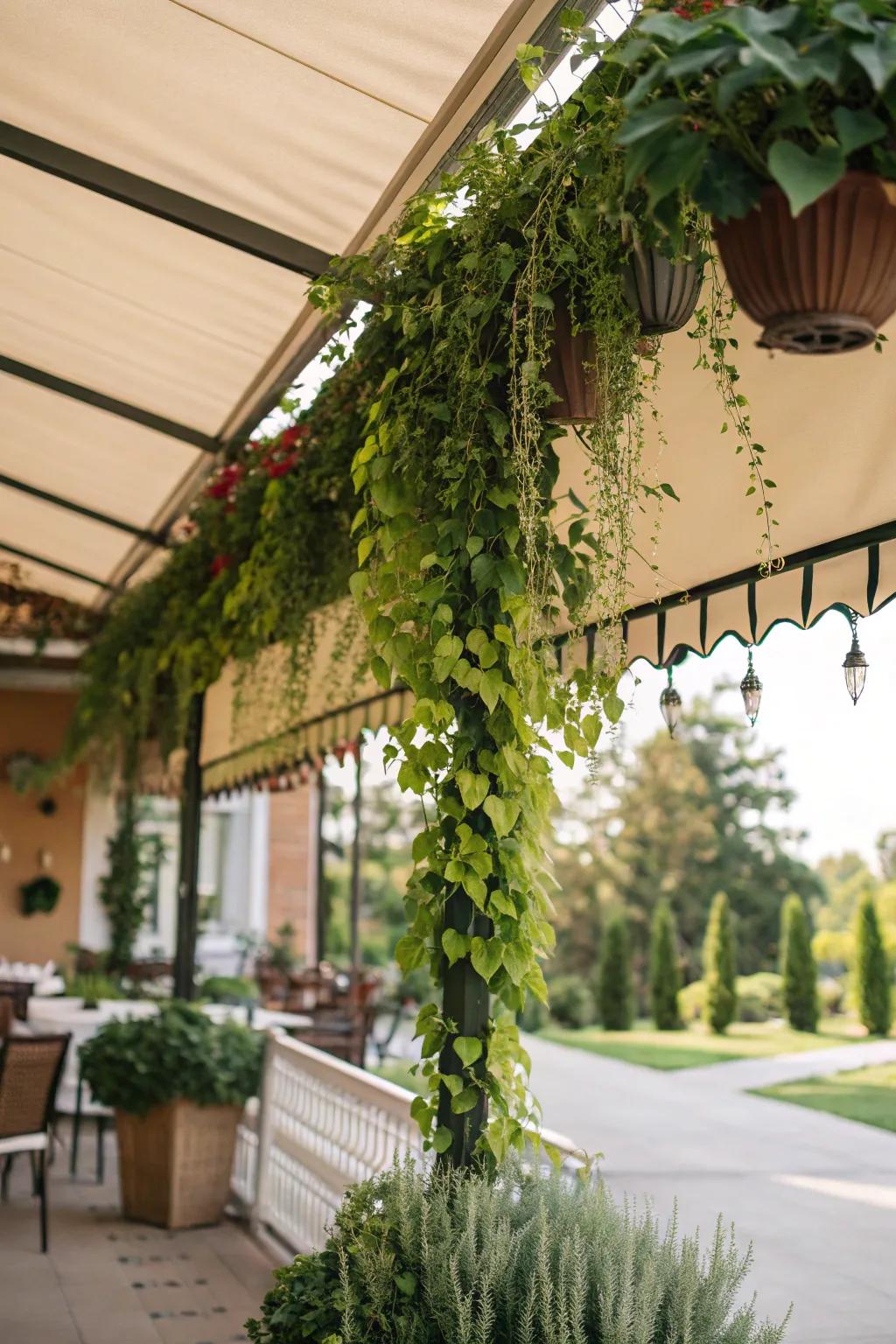 Hanging plants add a natural and vibrant element to awnings.