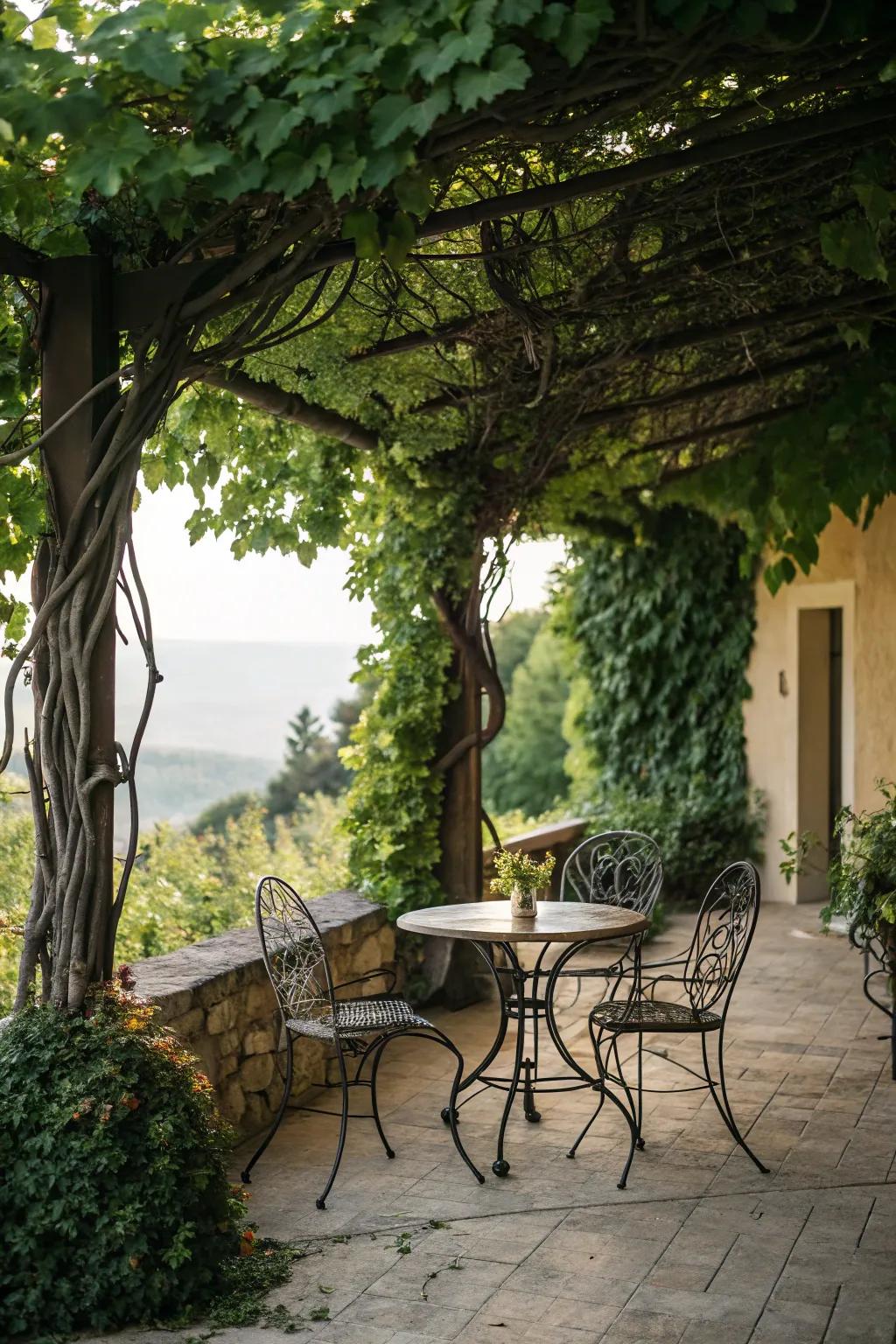 Wrought iron furniture nestled in climbing vines crafts a hidden garden feel.