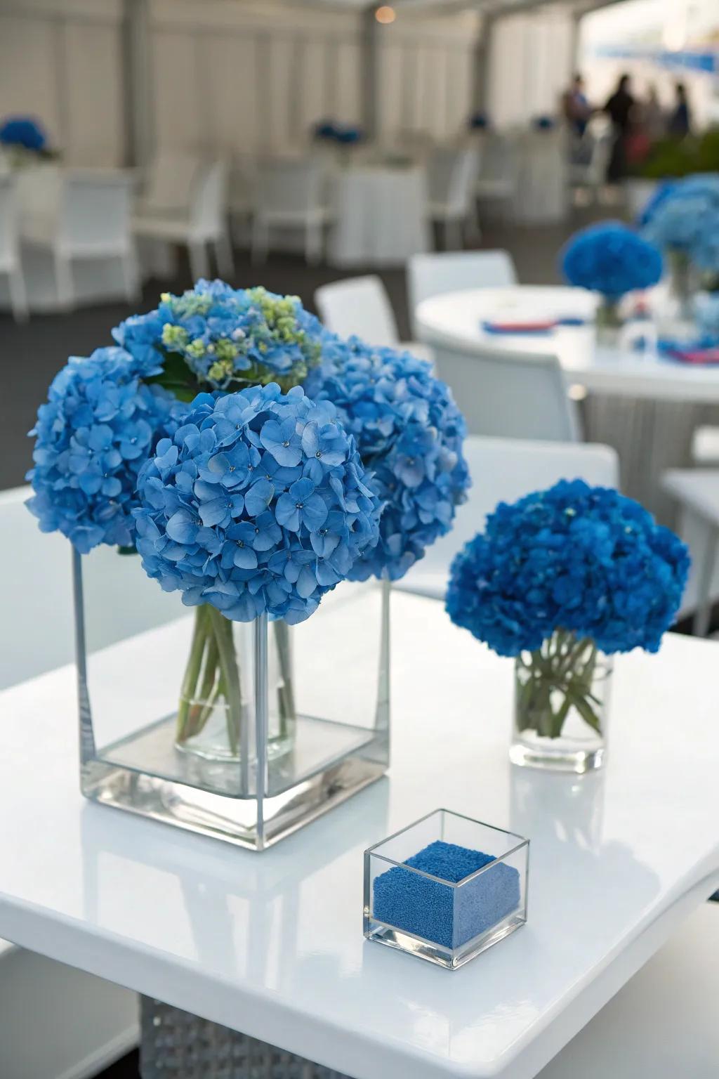 A color block of blue hydrangeas makes a bold, modern statement.