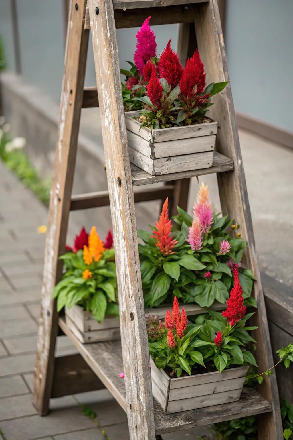 A vertical ladder planter maximizes space with style.