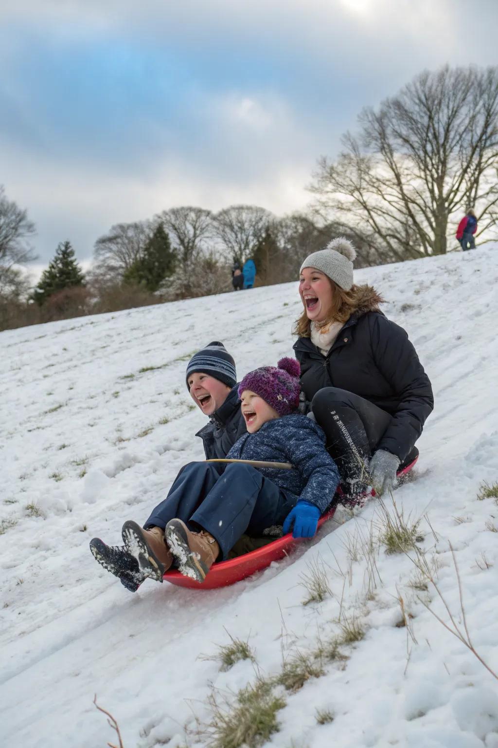 Capture the thrill of a family sledding excursion.