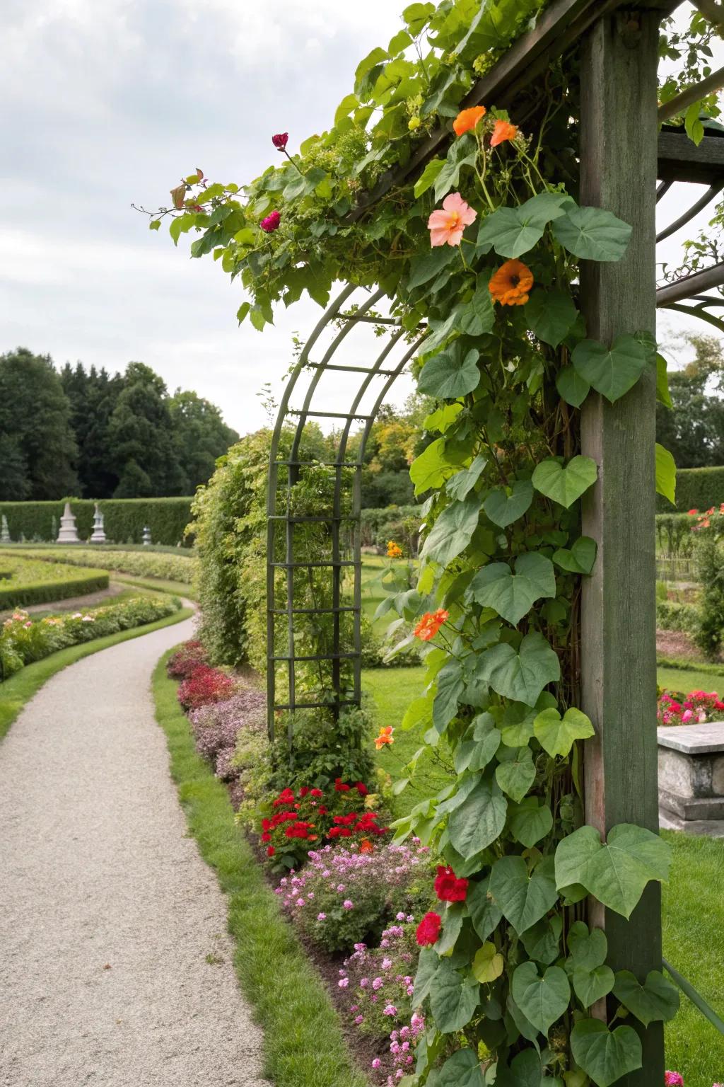 Climbing vines deliver vertical interest and lushness to any garden.