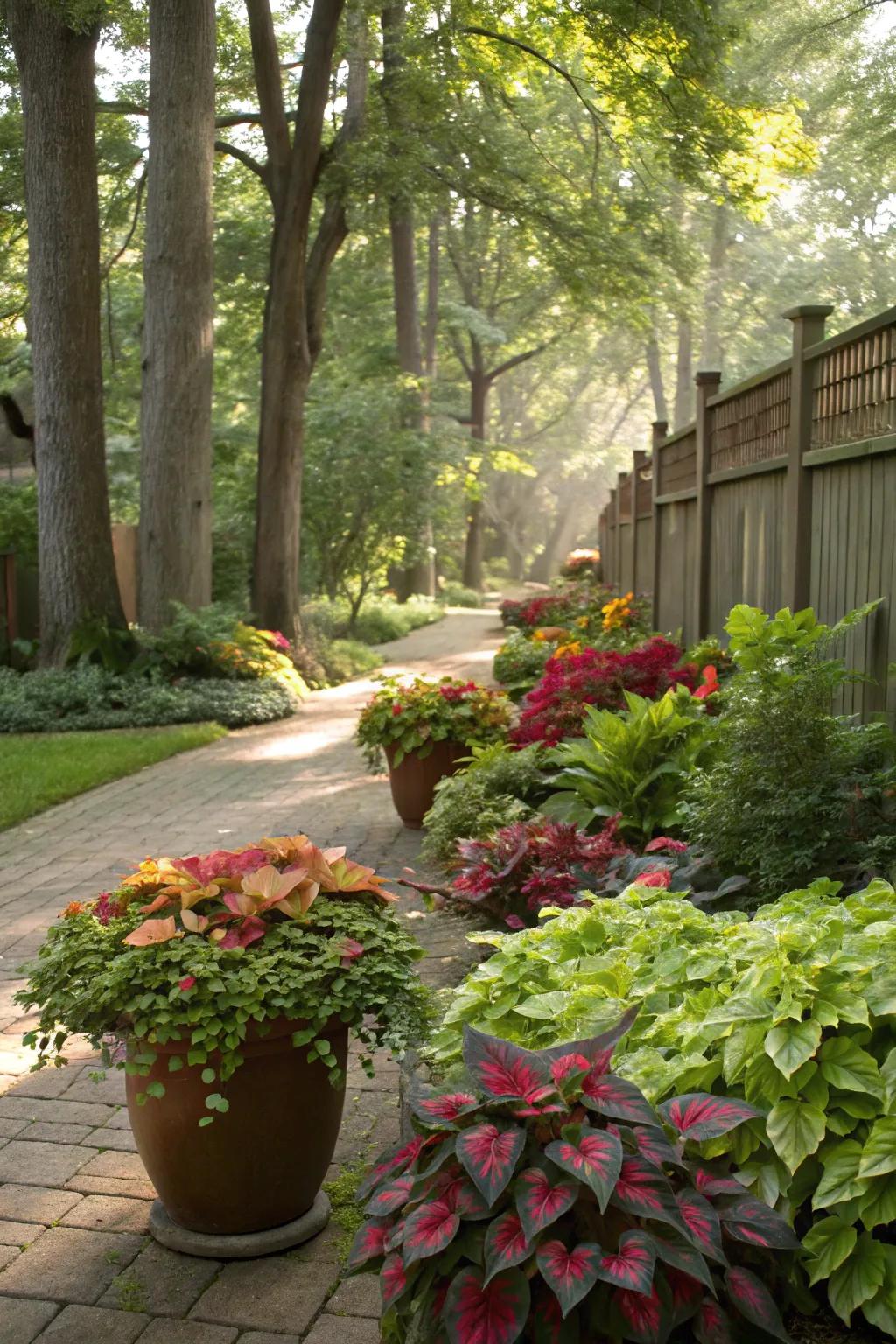 Potted vegetation offers versatility and splashes of color.