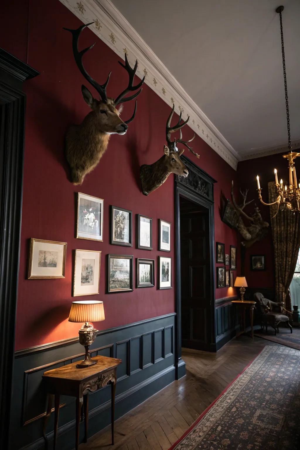 Preserved creatures that add a wild boundary to your décor.