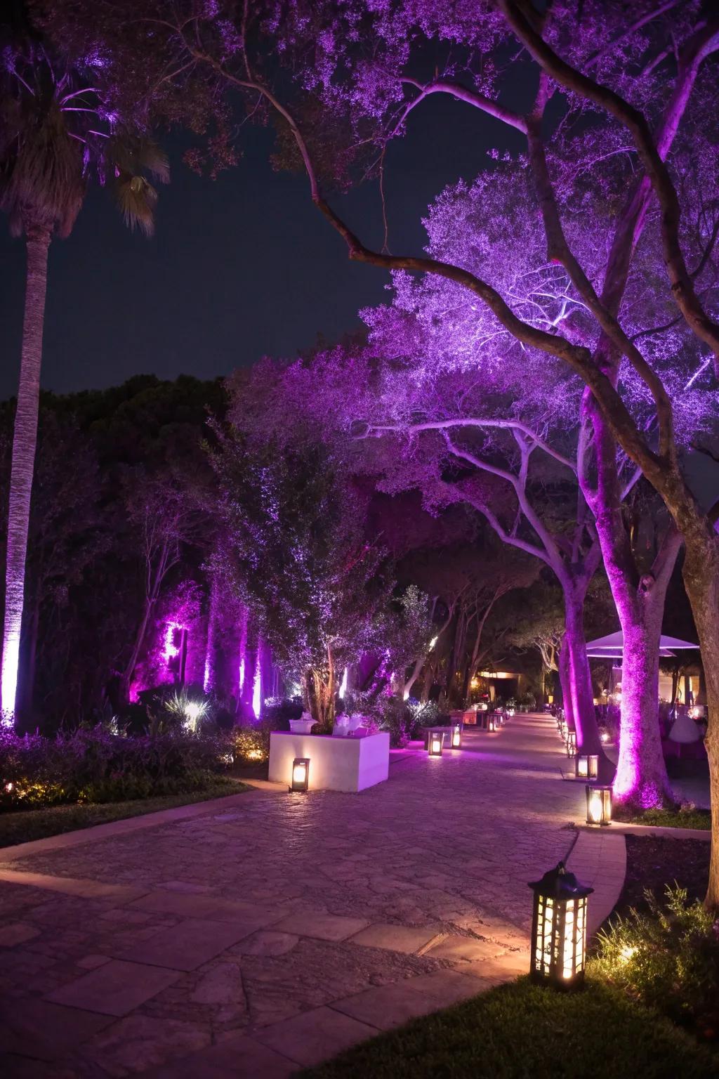 An enchanting outdoor space illuminated with purple-themed lighting.