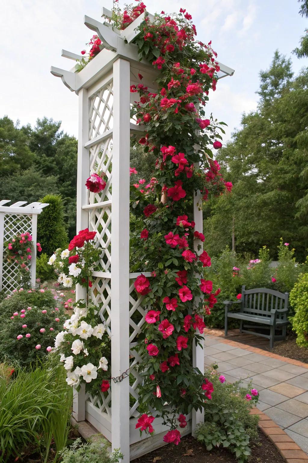 A seasonal themed trellis introduces festive charm to a garden featuring blossoming mandevilla.