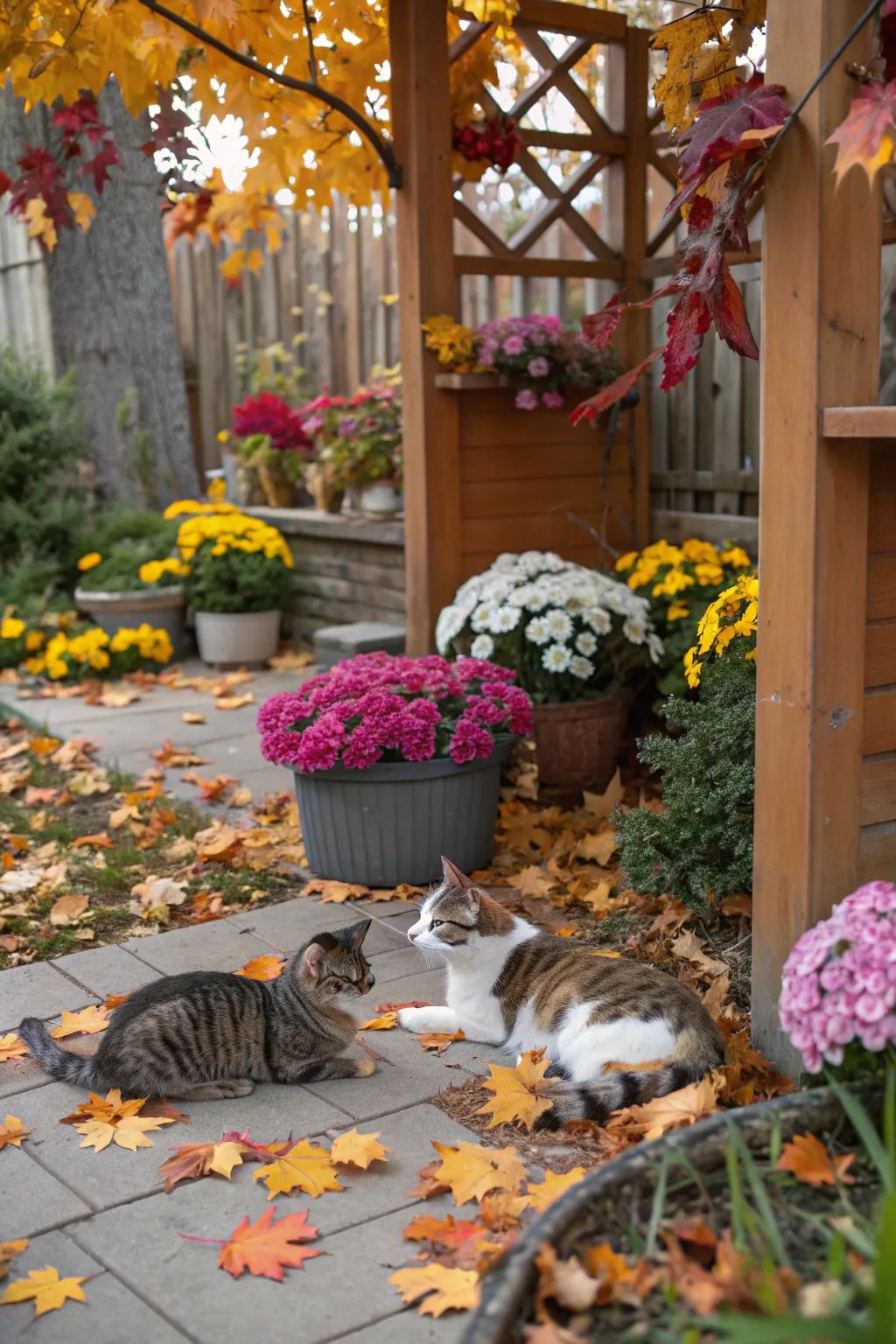 Seasonal decorations convey variety and festivity to your cat's open-air space.