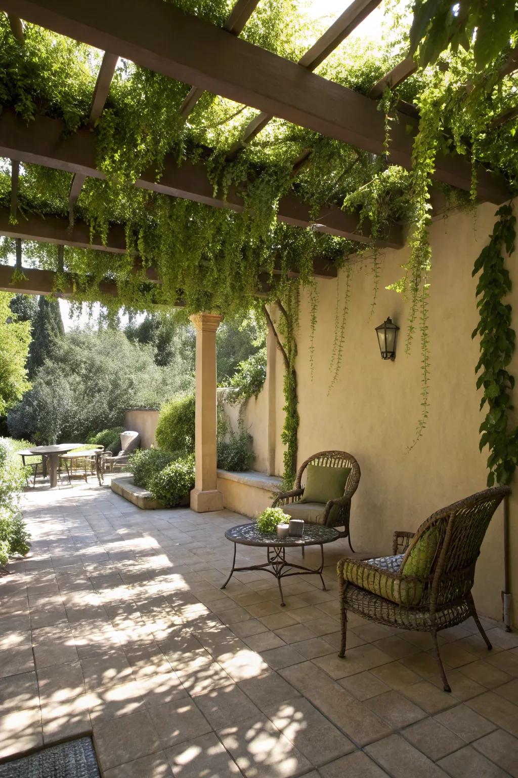 Hanging plants add beauty and pockets of shade to outdoor spaces.