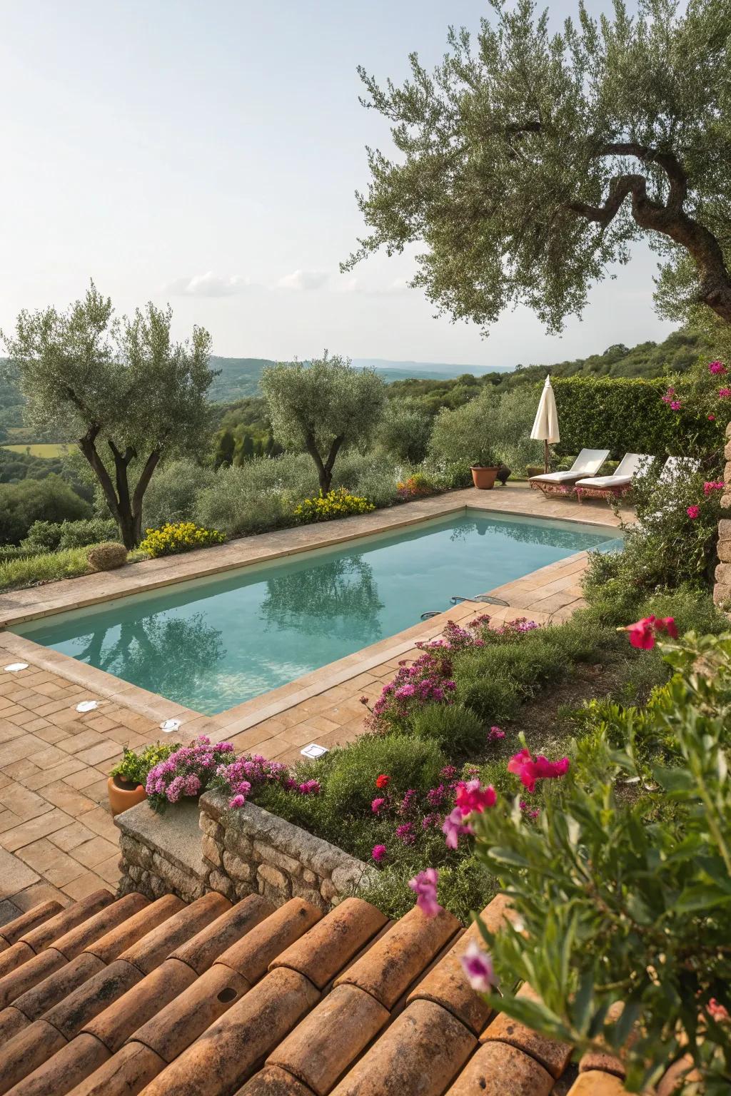 A pool pond showcasing a Mediterranean-inspired design.