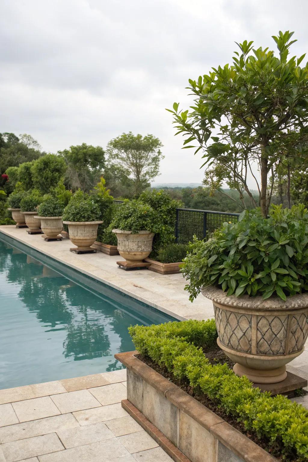 Potted plants offer flexible and movable privacy.