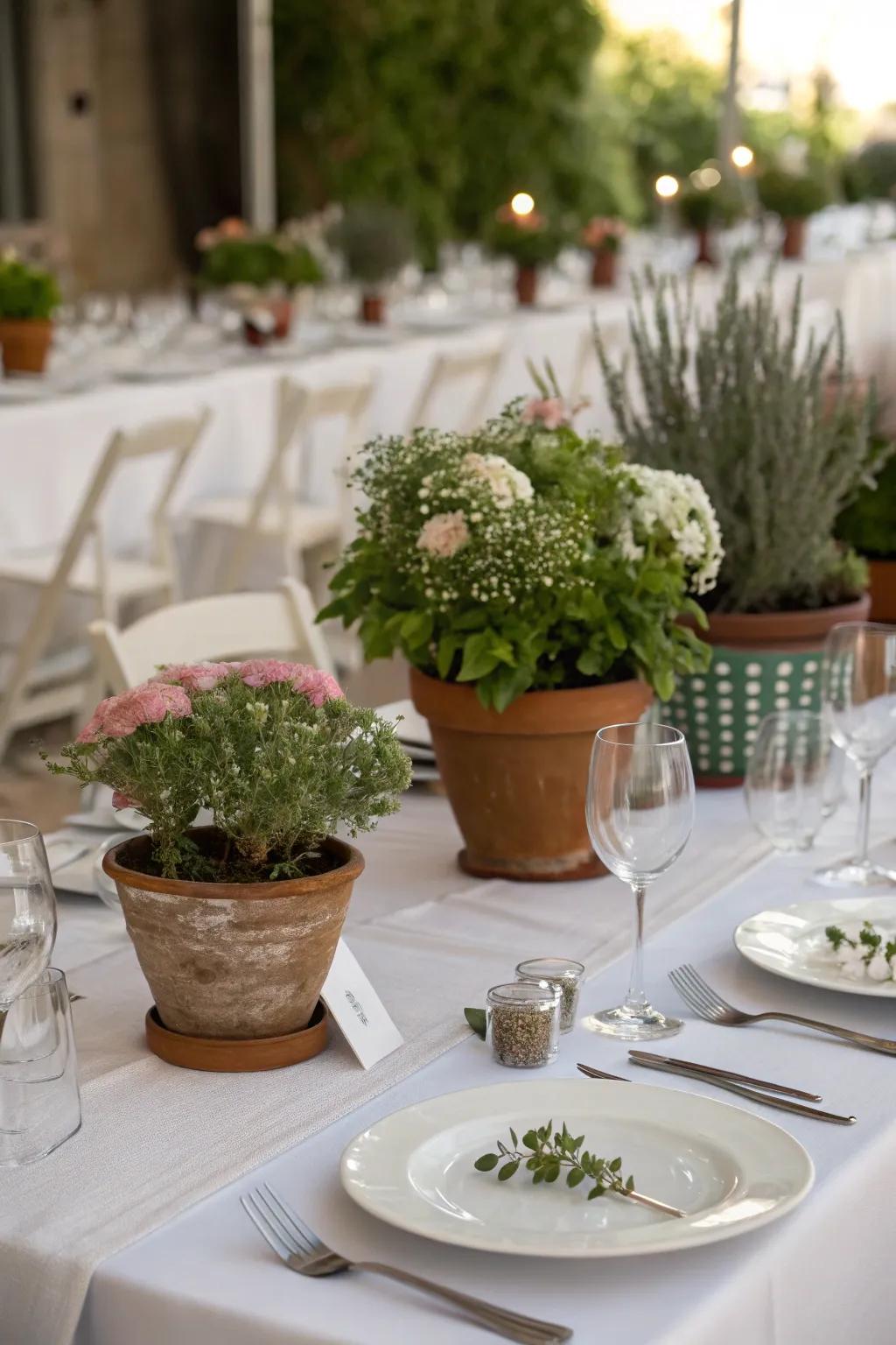 Eco-conscious potted greens as wedding centerpieces