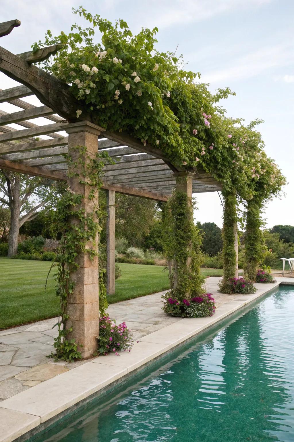 A garden trellis pergola crafts a natural, integrated look.