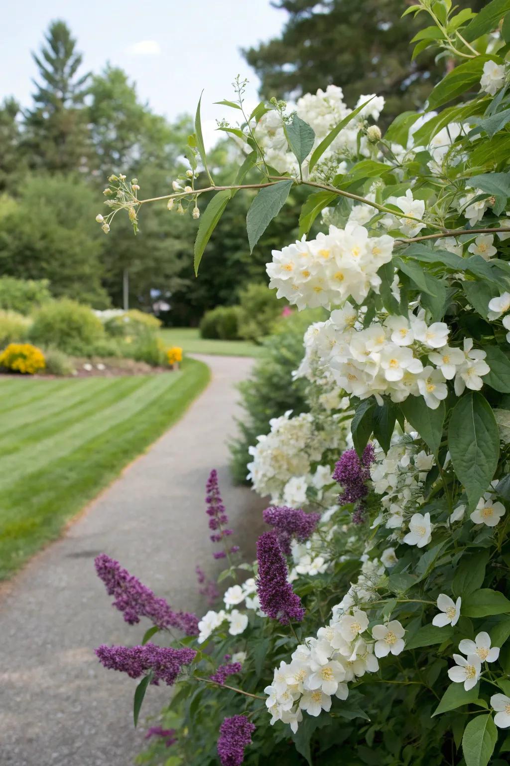 Scented Snowball and Flutterby Plant create a delightful sensory garden.