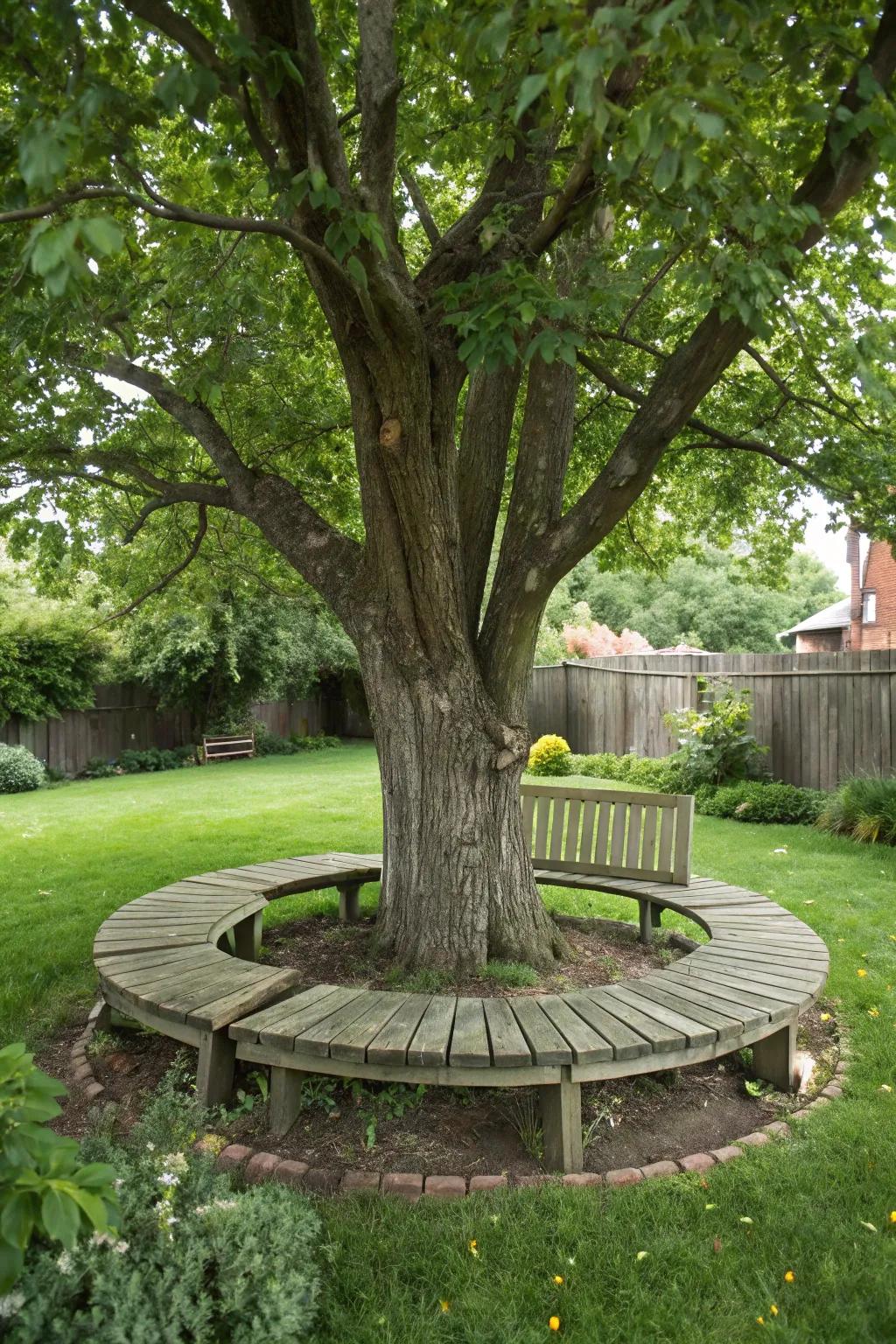 A tree enclosed by a wooden bench, creating a welcoming seating area.