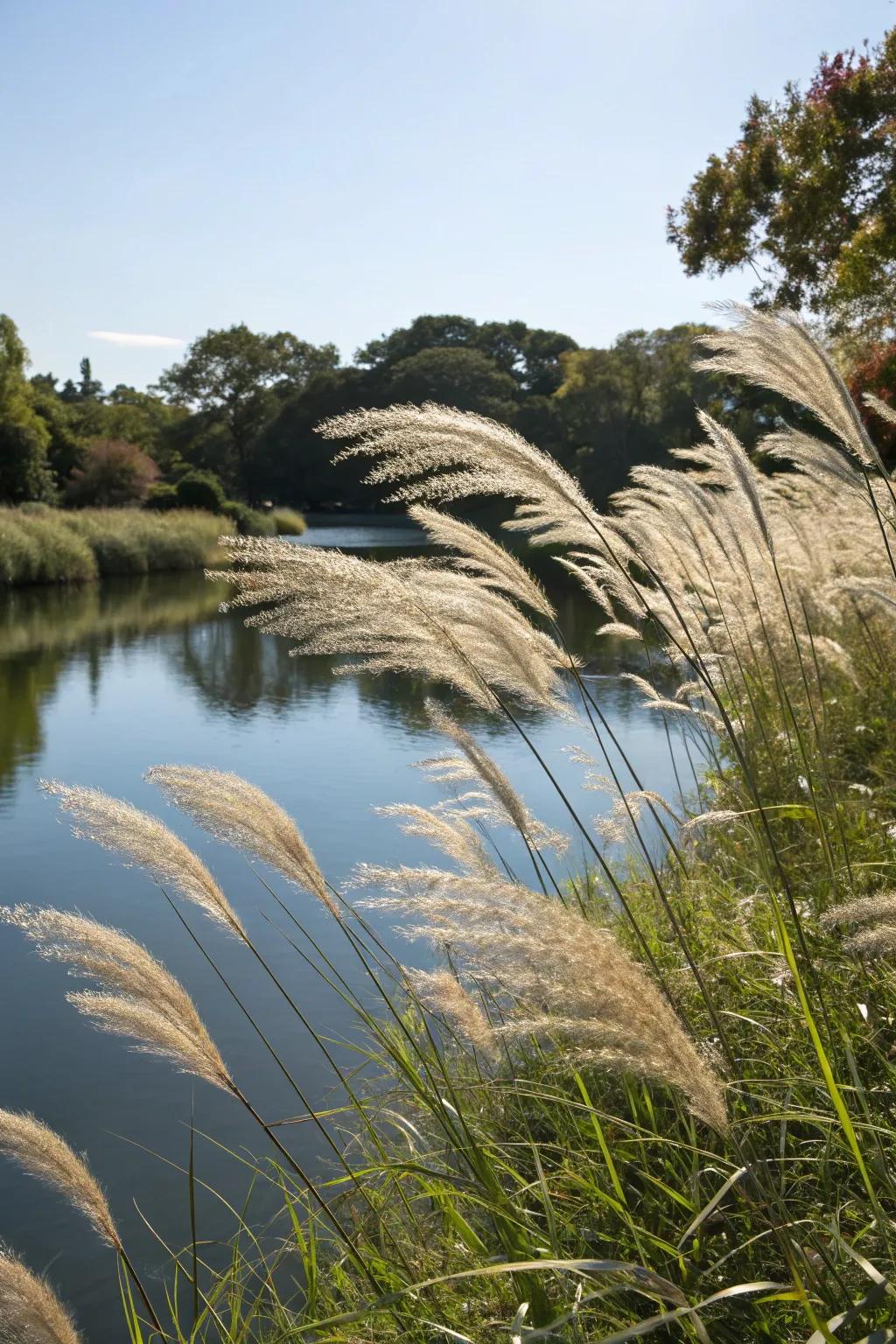 Ornamental stalks appending texture and movement to a pond setting.
