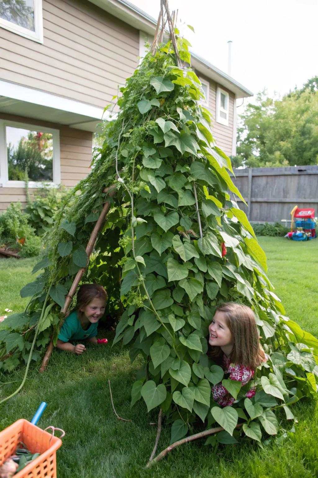 Bean shelters offer a living, changing hideaway.