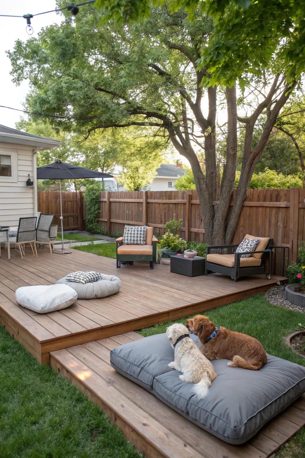 Enjoy quality time with your dog in a well-designed shared space.