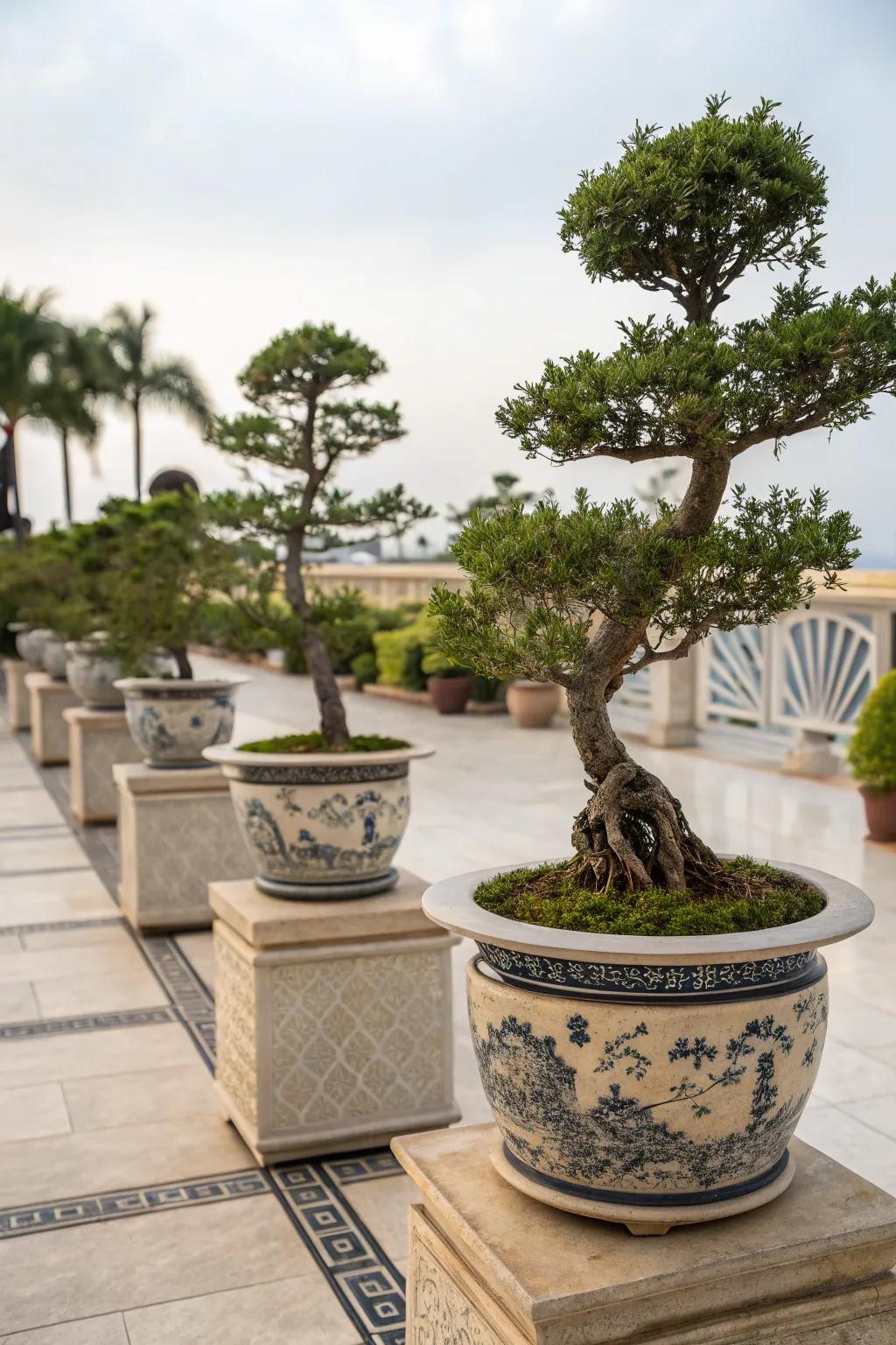 Transform your patio into an artistic display with bonsai.