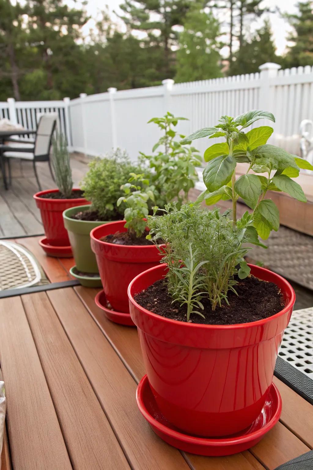 Scarlet pots enhance a charming herb garden.