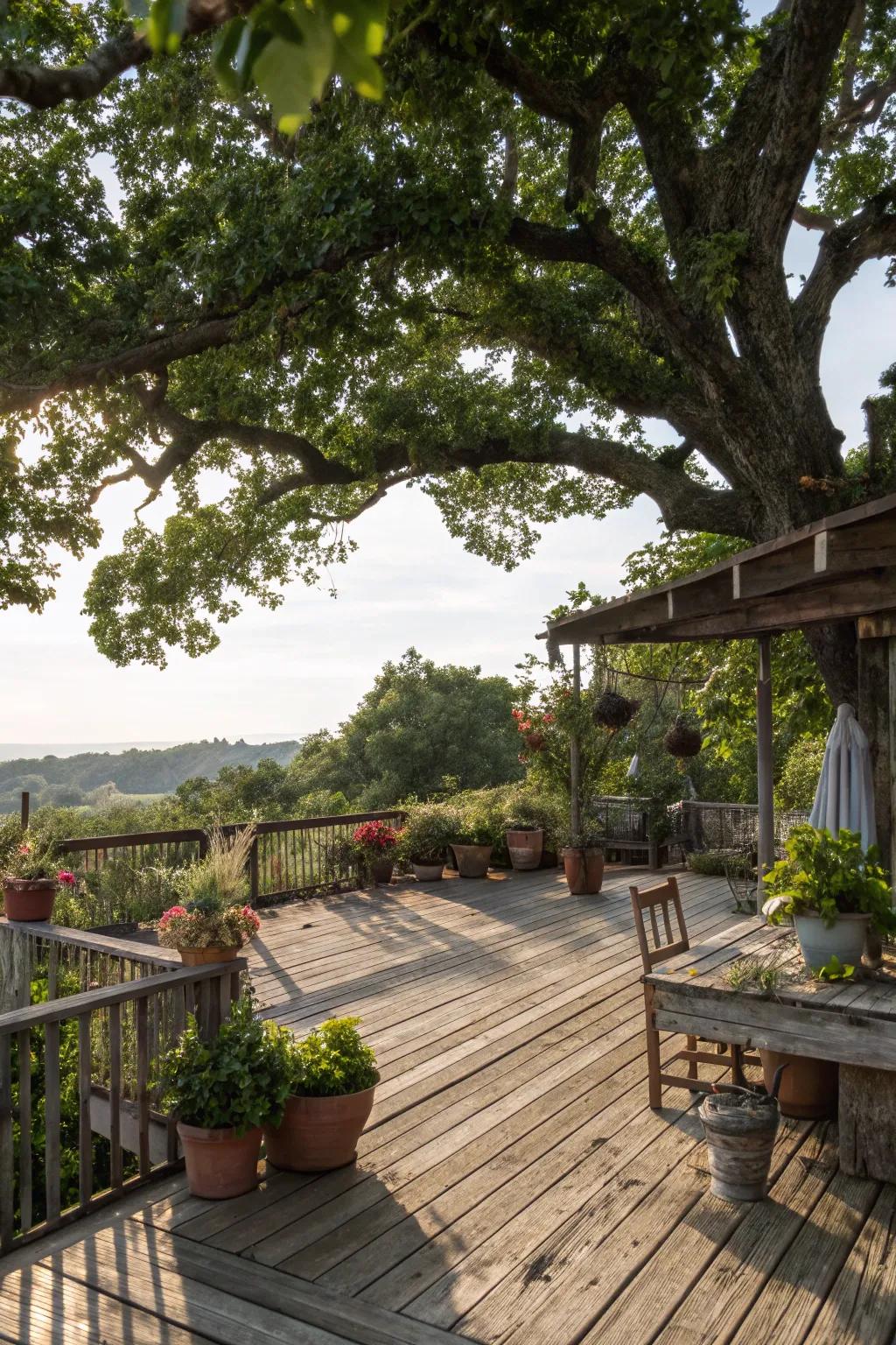 A tree canopy provides shade and a natural backdrop to this deck.