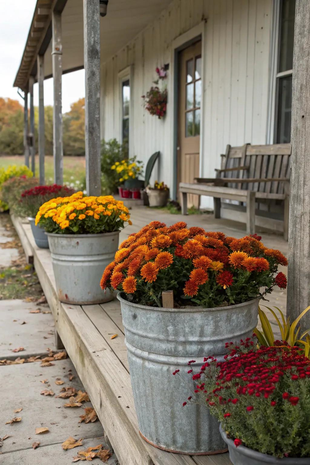 Plated containers extend a rustic impression and spotlight autumn's vibrant shades.