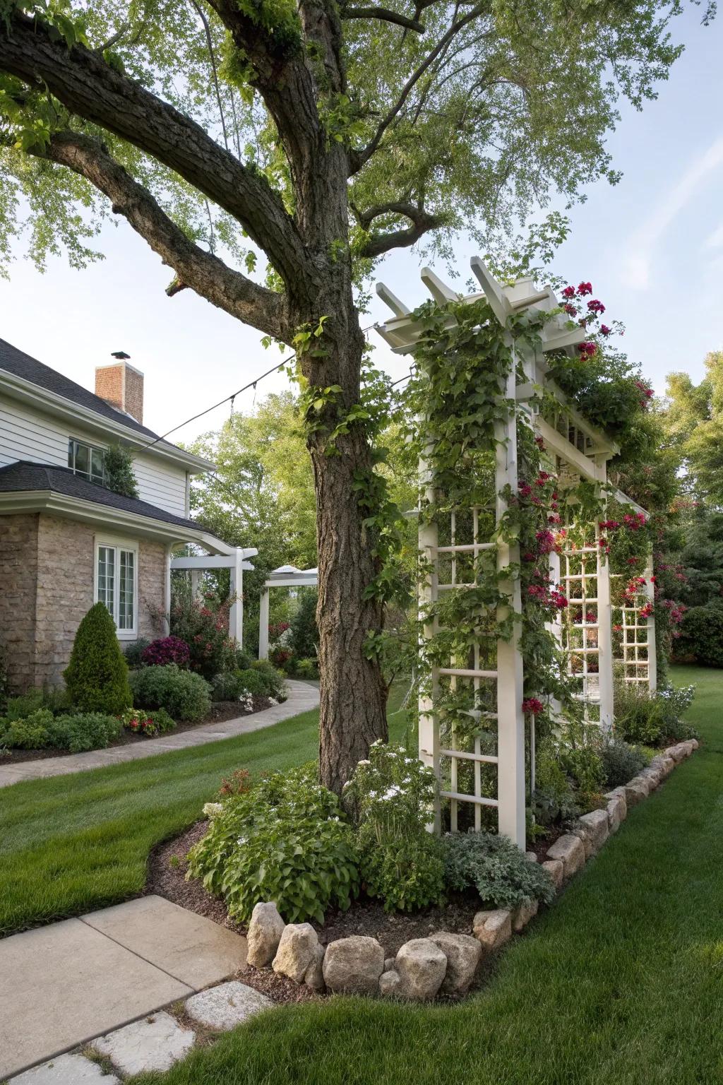 Height elements append stature and intrigue within your tree's setting.