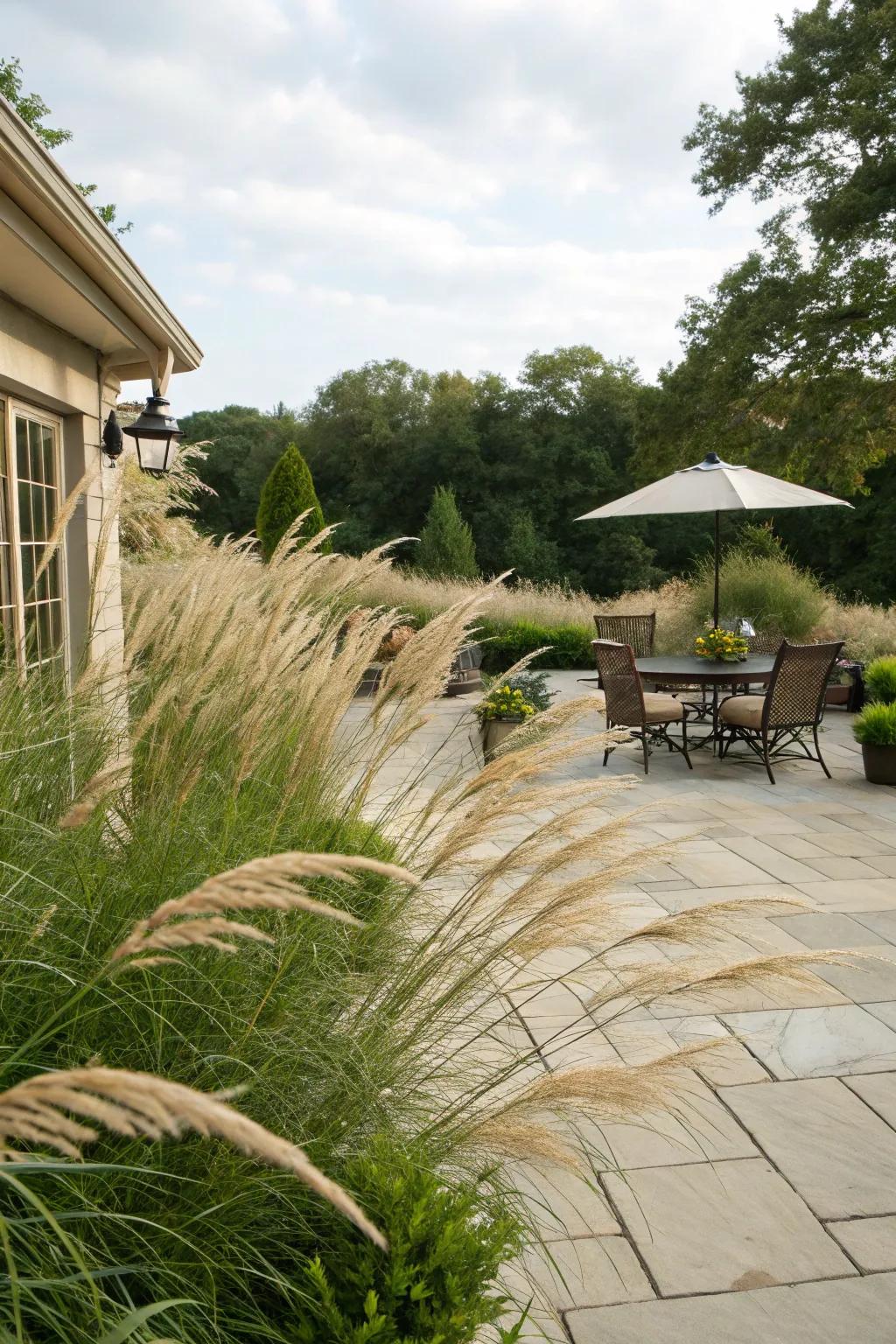 Add movement and texture with ornamental grasses.