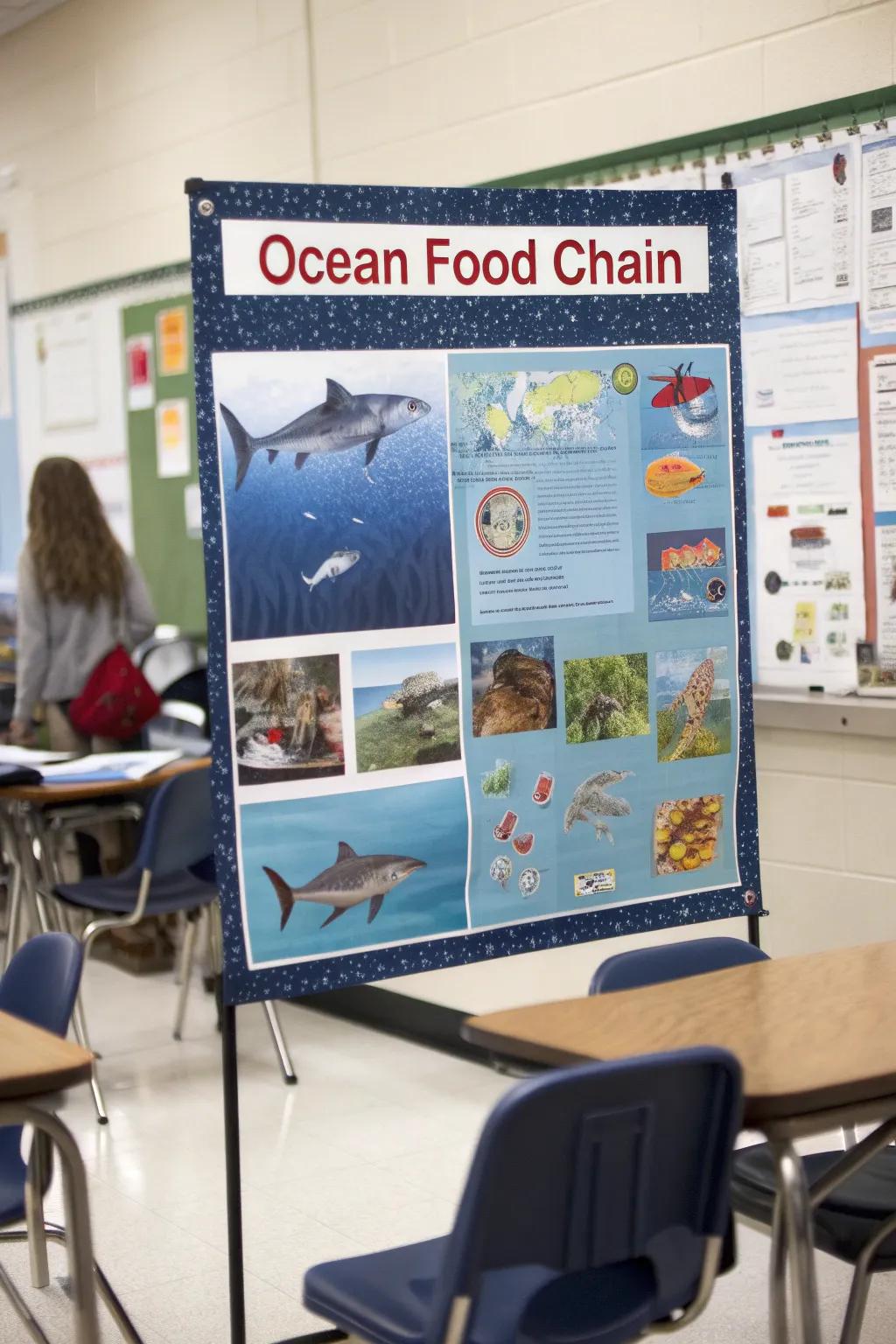 Understand the crucial role predators play in marine ecosystems.