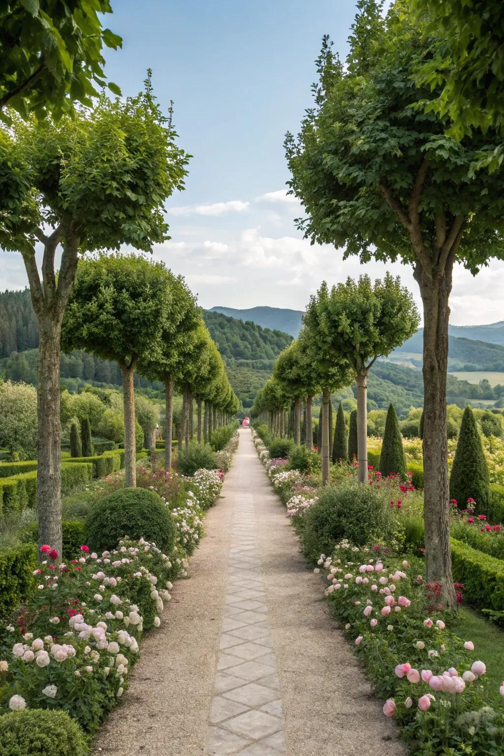 A garden path that celebrates natural symmetry for harmonious design.