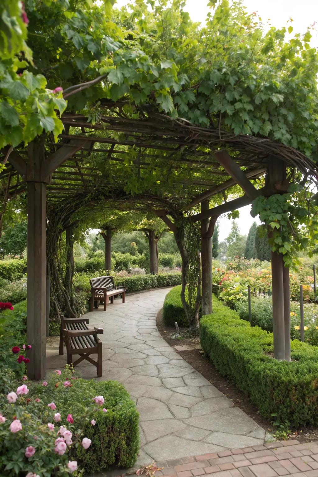 A grapevine arbor provides a shaded and deliciously inviting garden space.