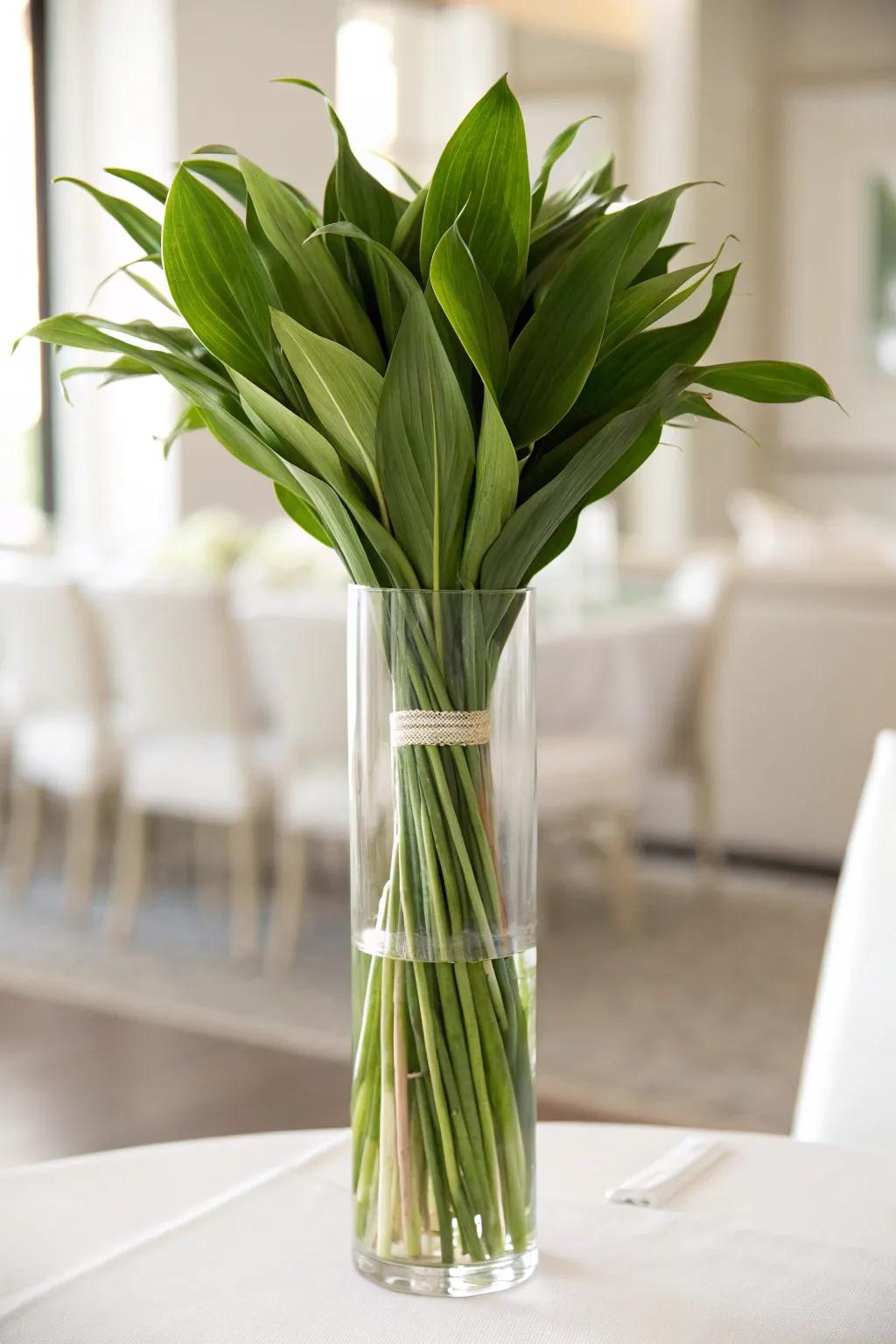A tall glass vase showcasing Aspidistra foliage, maintaining the emphasis on the blooms using a refined visual.