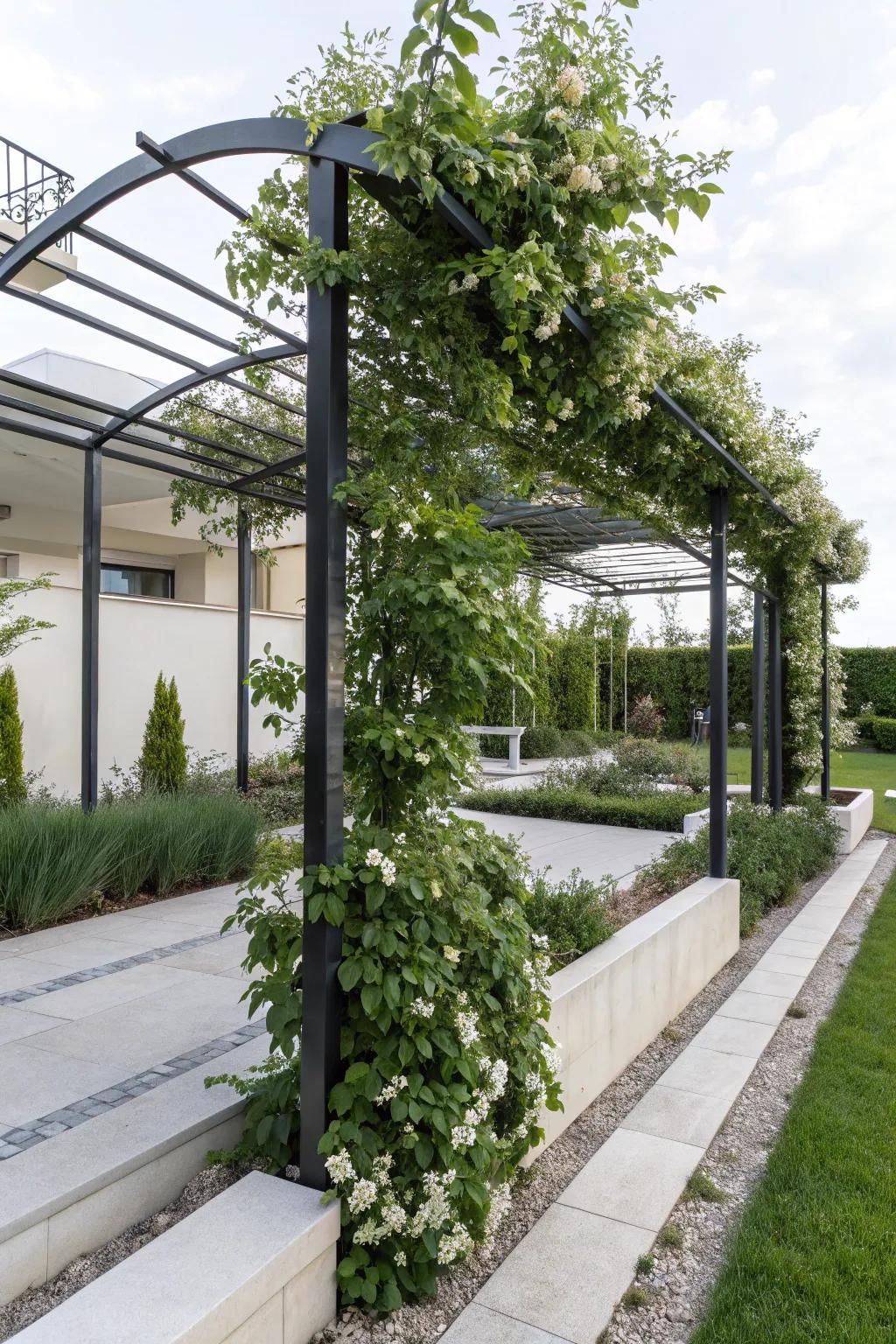 A modern metal arbor adorned with flowing jasmine blossoms.