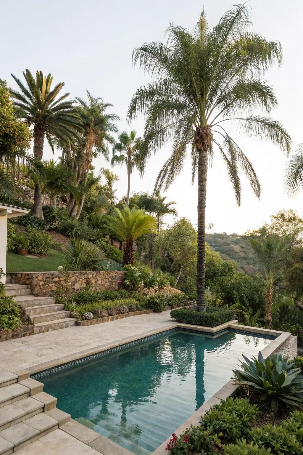 Layered greenery with palms results in a thick, tropical jungle sensation.