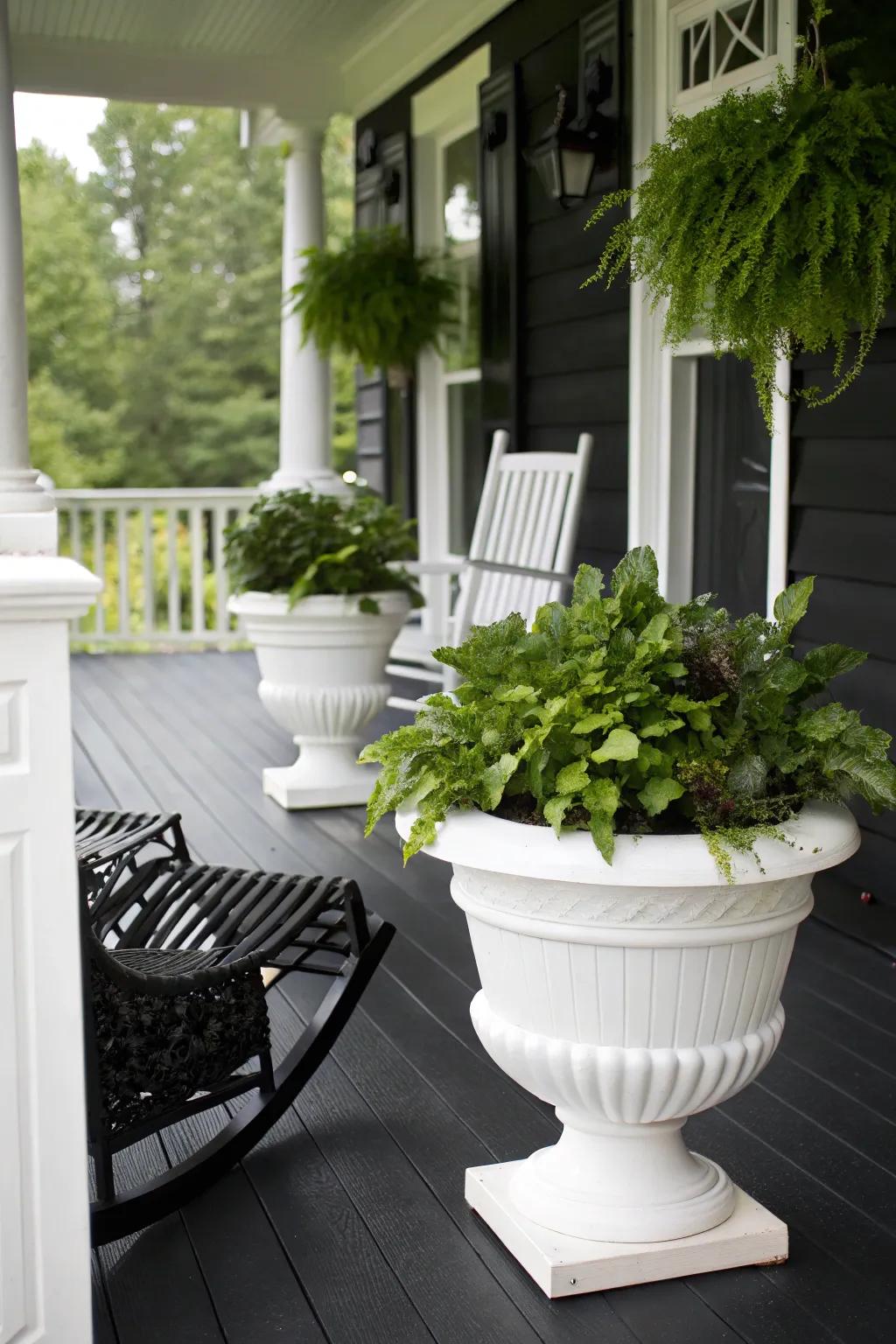 A black porch showcasing striking white planters, delivering a bold contrast.