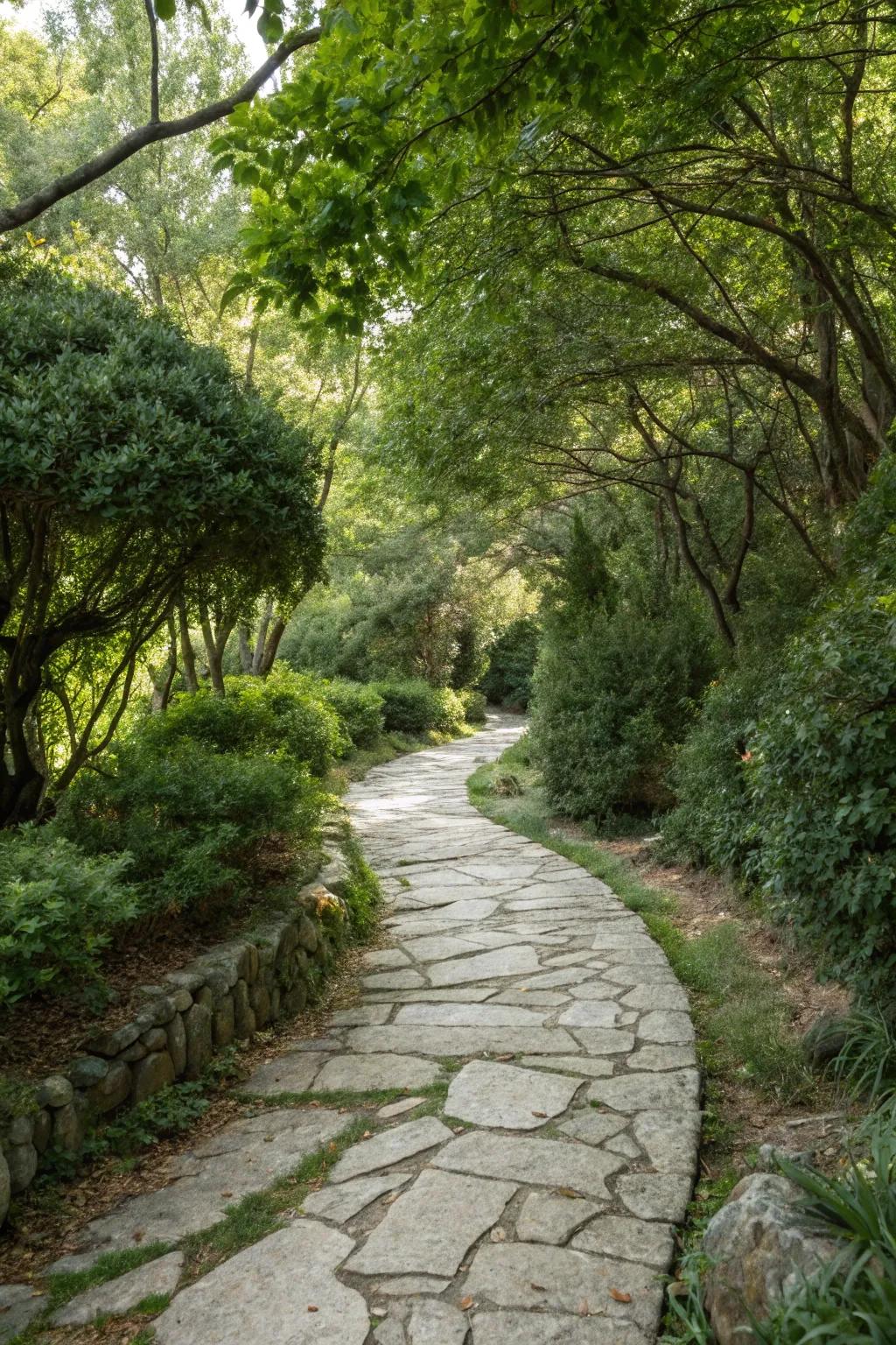 Curving stone walkway sparking intrigue and discovery.