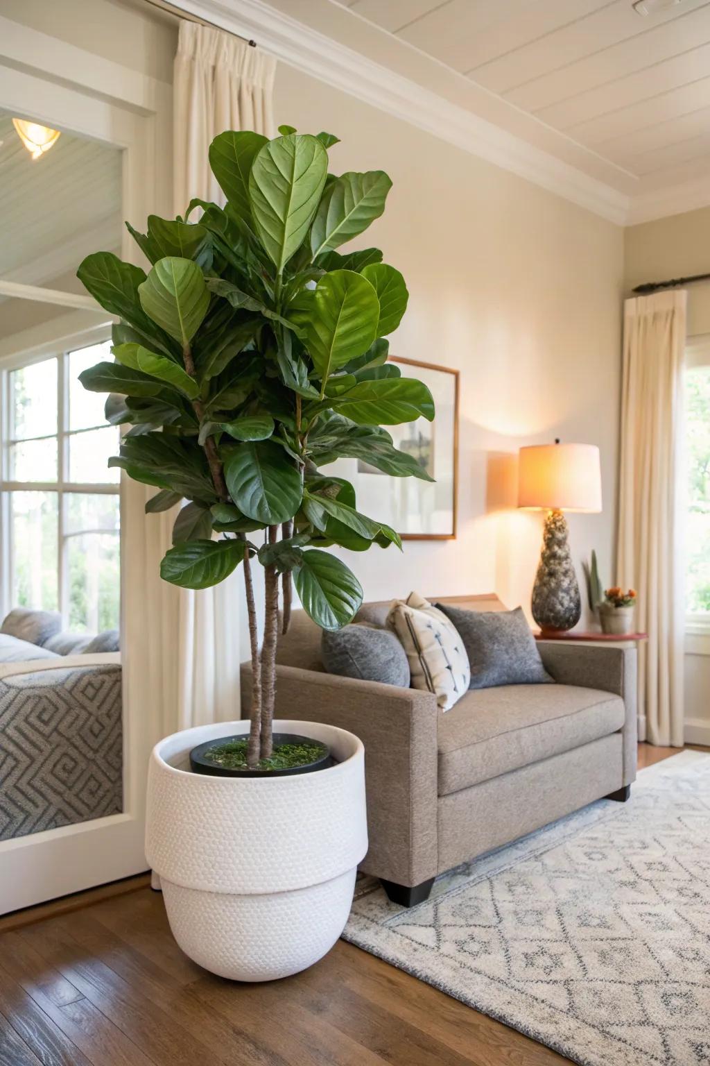 Present a burst of green with a notable plant housed in a stylish planter.