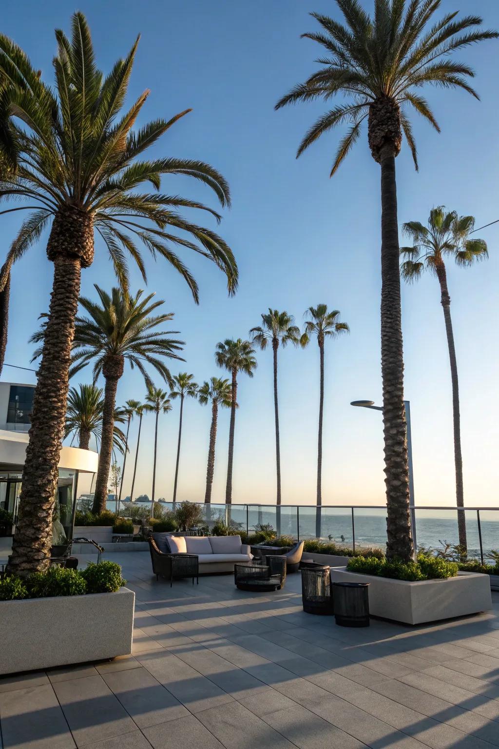 Soaring palm trees infuse any backyard with the essence of Palm Springs.