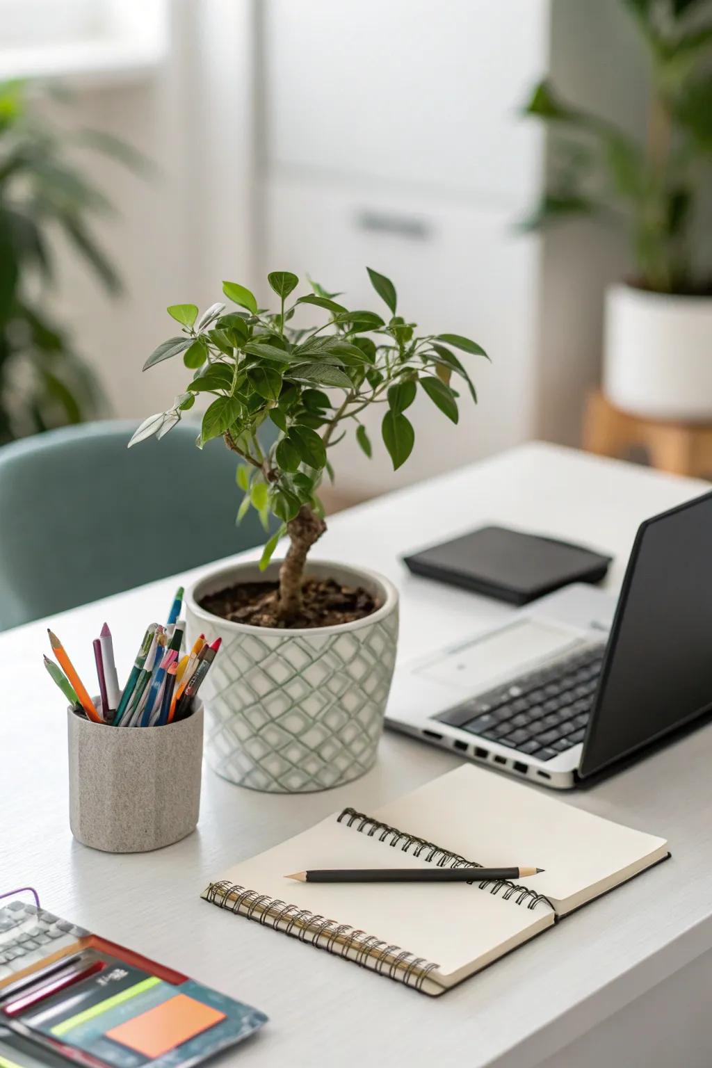Inject life into your desk with a dash of green.