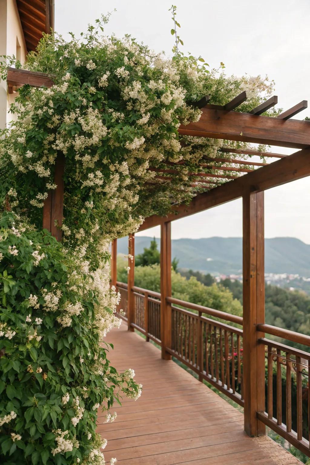 An arbor with twining plants provides a natural roof.