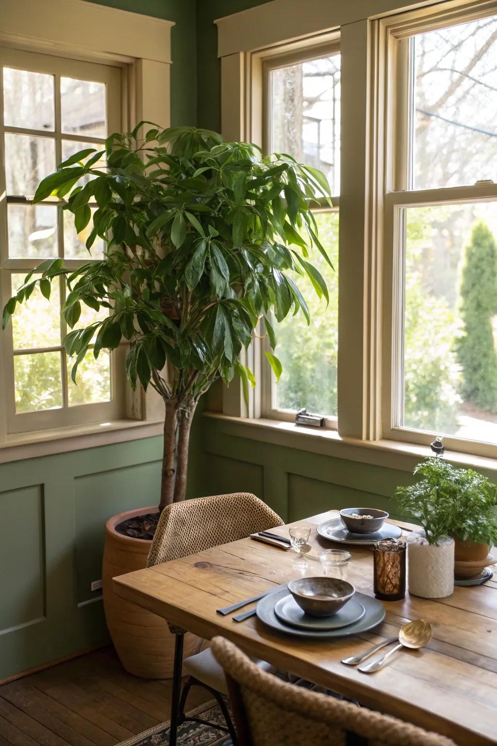 A striking plant adds a natural feel to dining room corners.