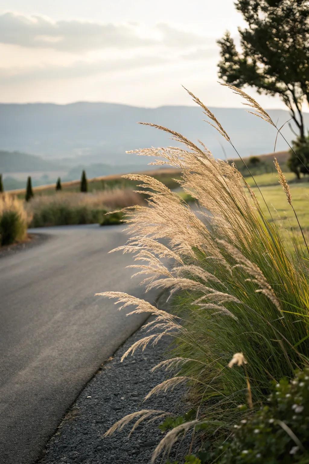 Ornamental herbage infuses feel and motion into your vista.