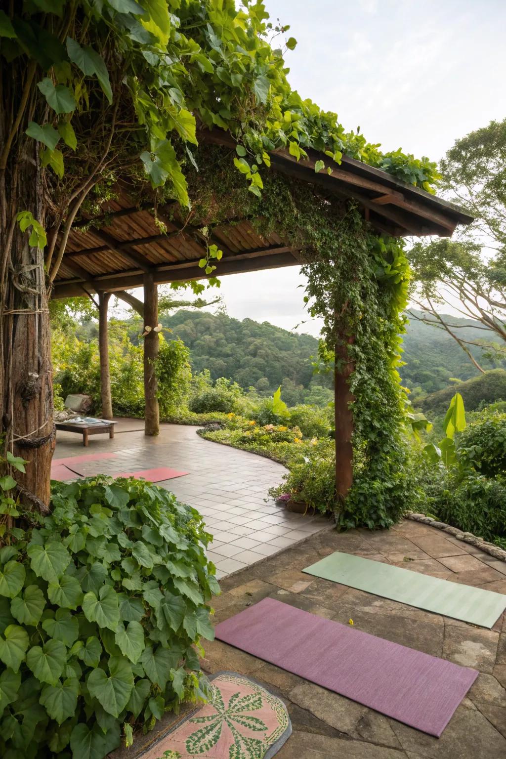 Greenery makes your yoga space look good and feel peaceful.