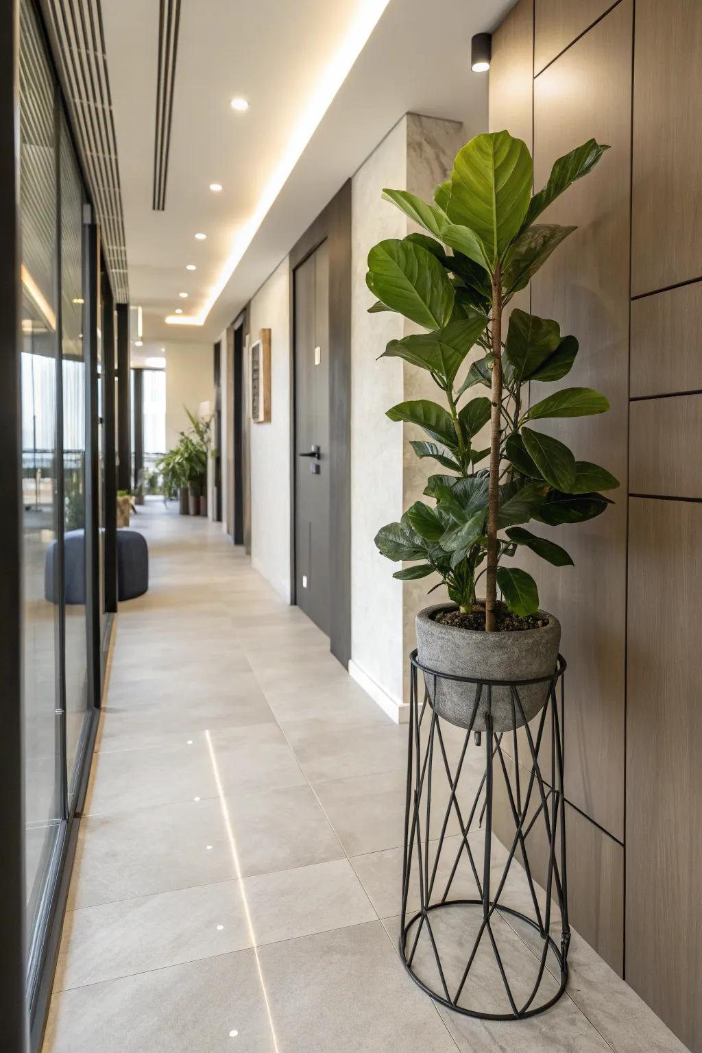 Add a modern impression with elegant metal plant stands.