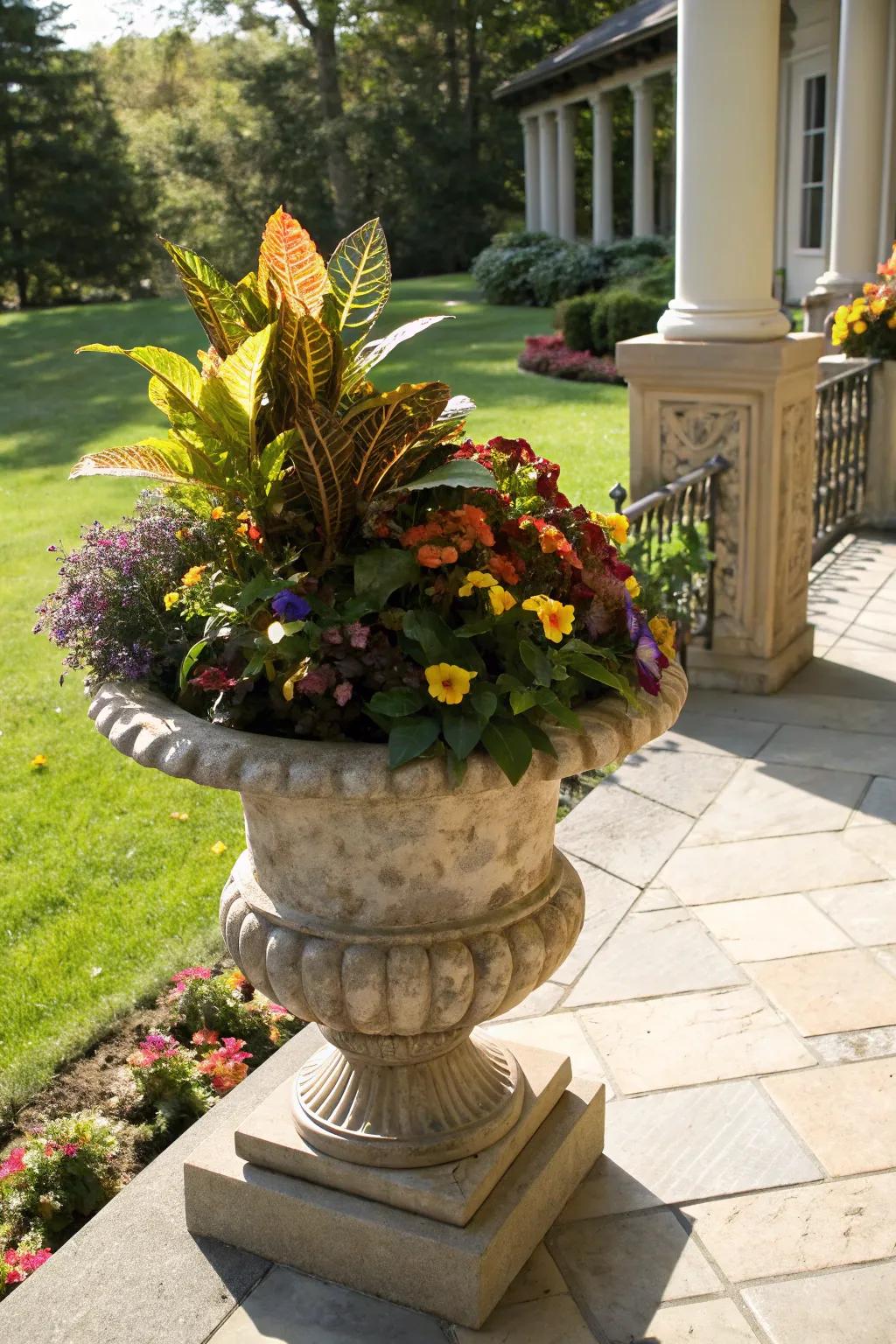 Bold colors with Croton and pansies in a fall urn.