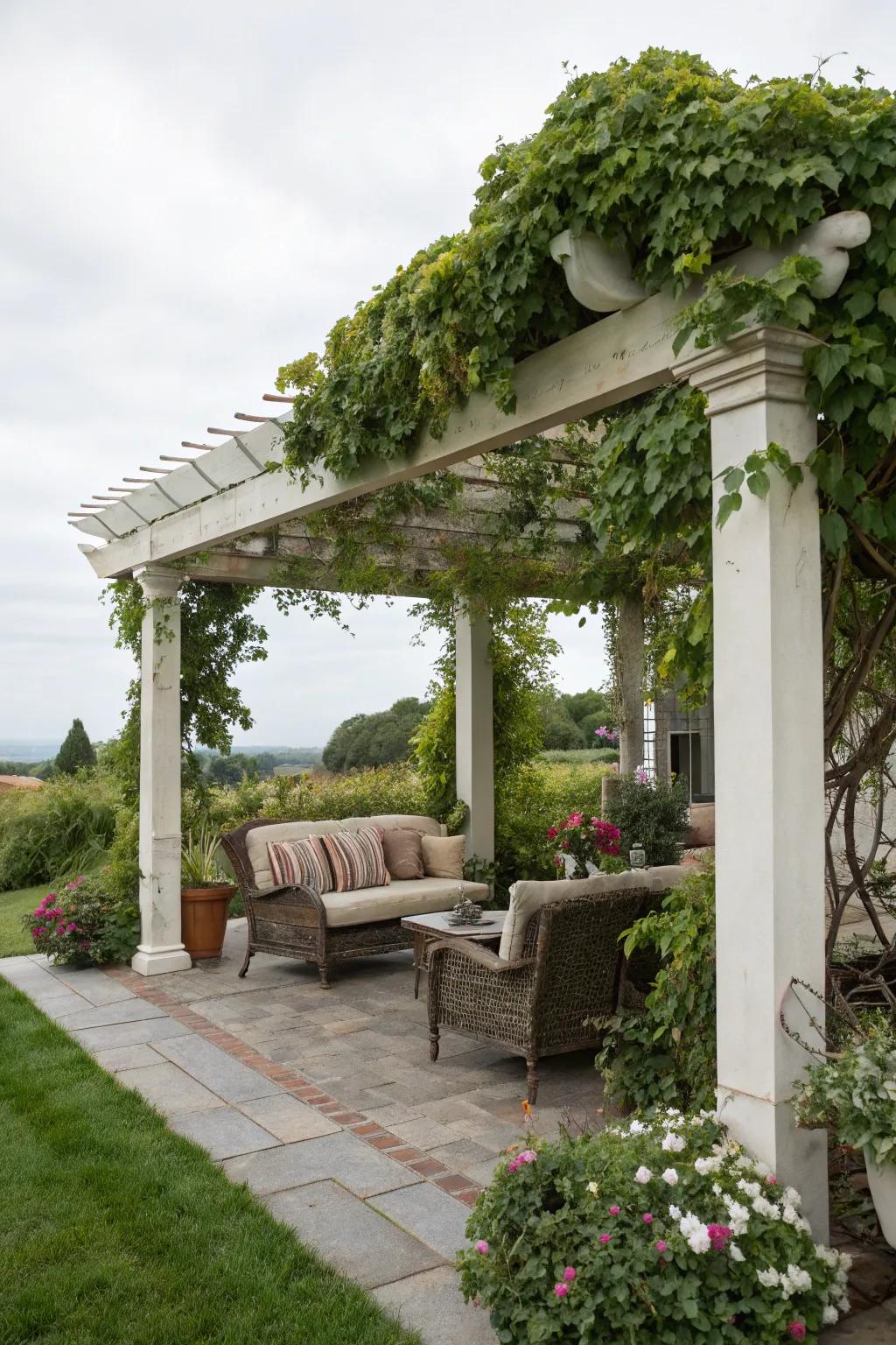 Design an overhead structure oasis with climbing plants and comfy seating.