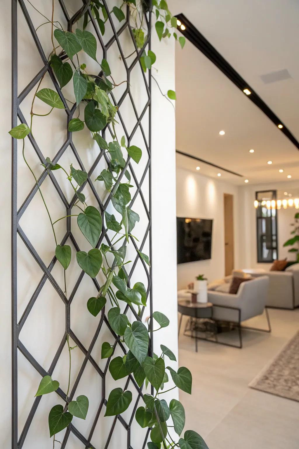 A modern living space showcasing a Waxplant climbing an abstract wall support.