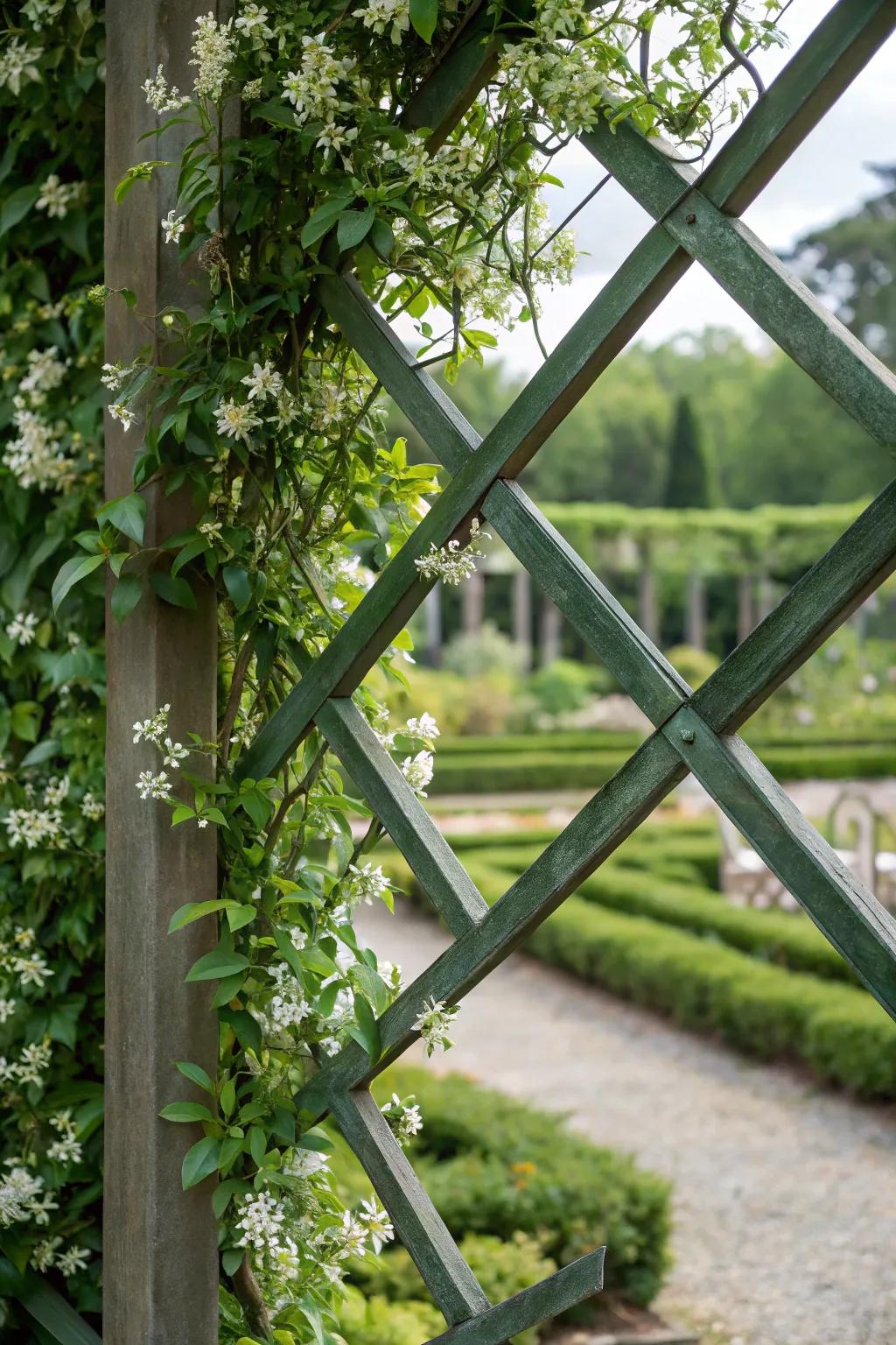 Unleash your creativity with patterned blossom layouts.