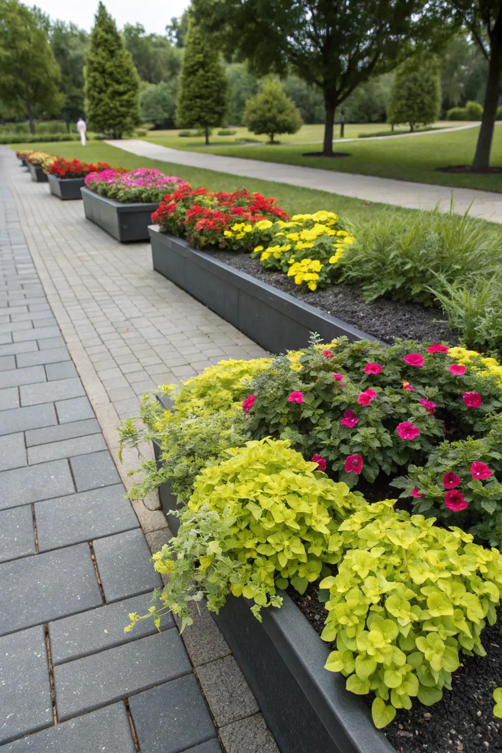 Contrasting hues engender a visually striking garden.