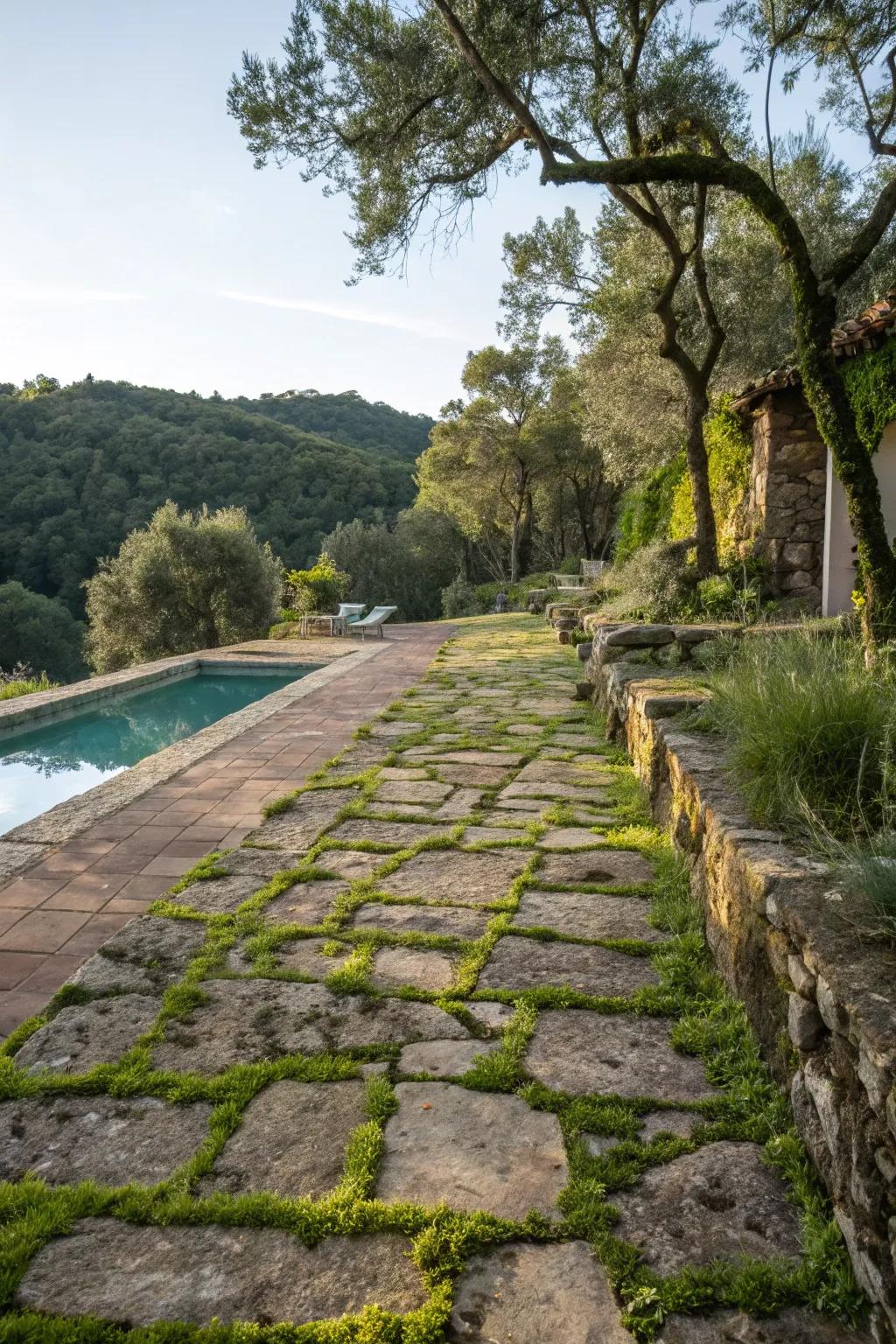 Stone pathways provide a rustic and charming approach to your pool.