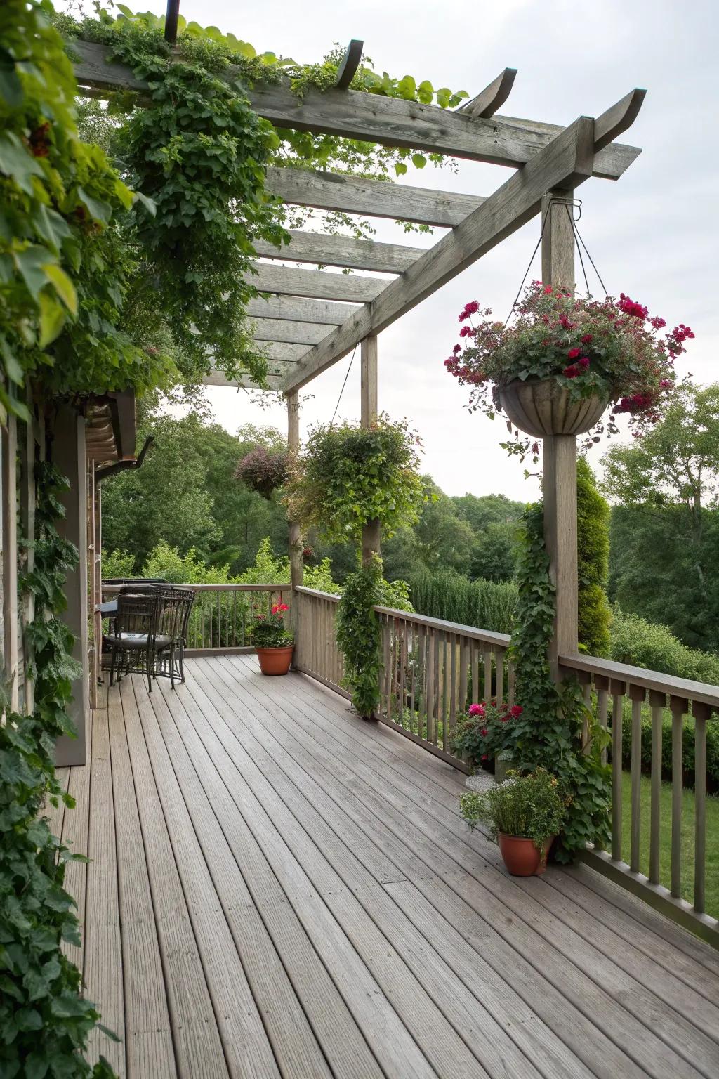 Enhance your deck with a delightful sky garden.